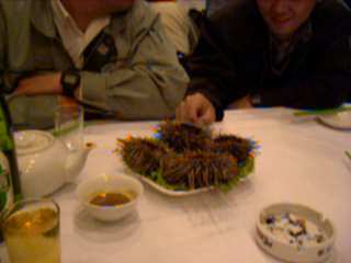 sea urchin for dinner. Yep, China