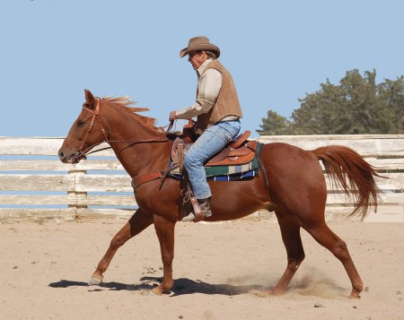 My cowboy, Pete