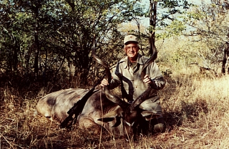 Greater Kudu