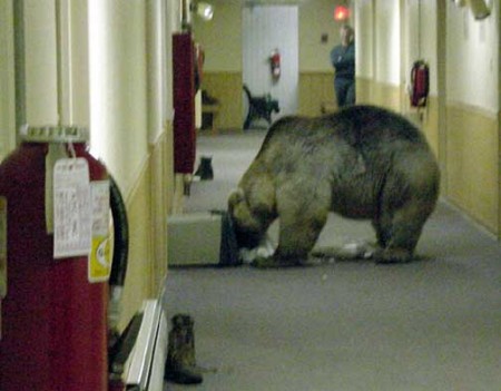 Toby in the Prudoe Bay hotel