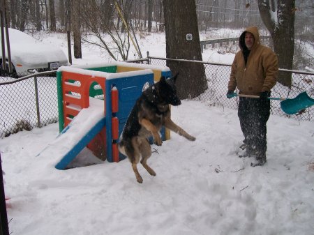 Snow dog!!