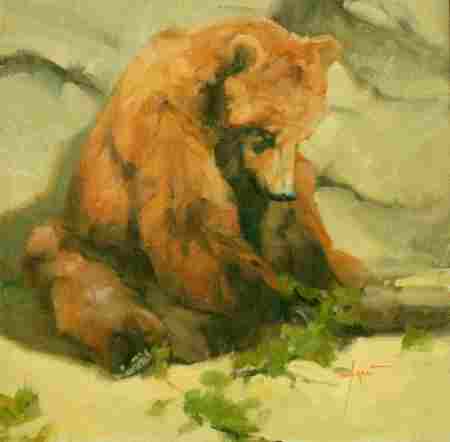 Cinammon Bear  12x12 oil on linen