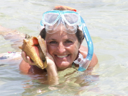 Snorkeling in the Keys