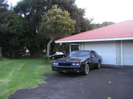 My race car, 1986 Monte Carlo, 355 mouse, 14.3