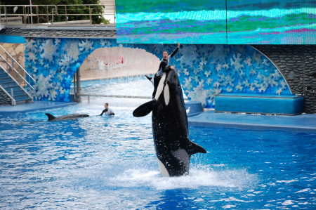 come to Sea World and see the World