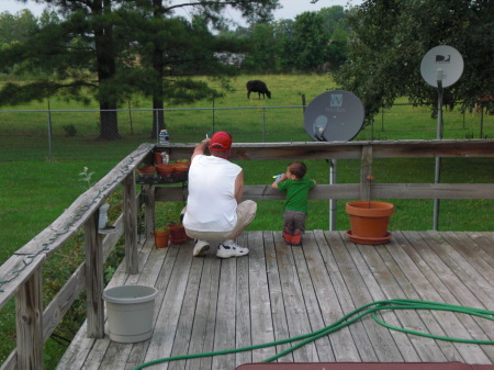 Pawpaw and Caleb looking at the cows.
