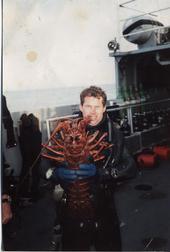 Lobster anyone?