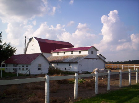 The Farm the East side.