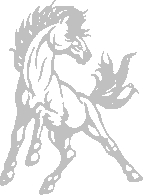 Country Day School Logo Photo Album