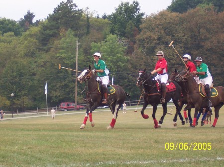 Polo match