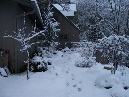 our house in the snow