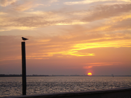 Sunset at Crab Island, Florida