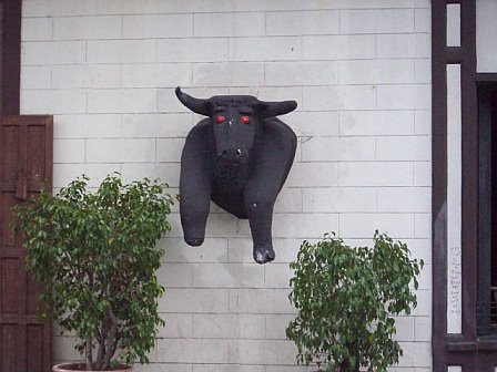 Bull In Wall 2009