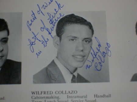 wilfred collazo