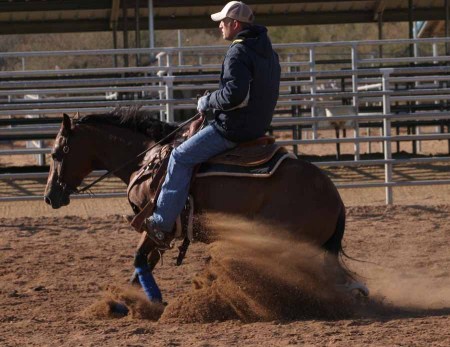 Our Horse Trainer on Gracie