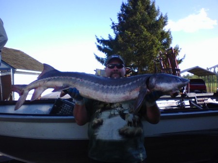 Sturgeon