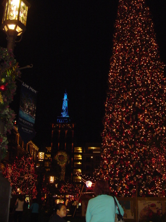 tree lighting 2008 020