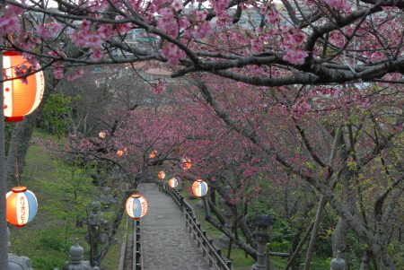 Covered Stairway