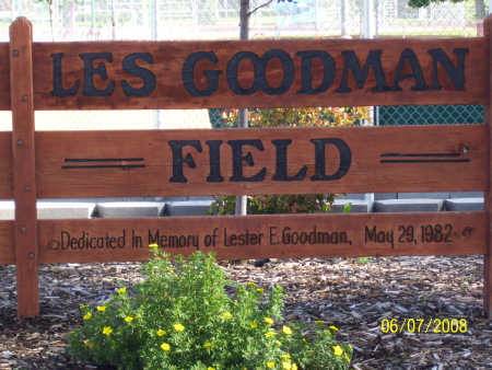 goodman field 002