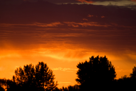 Backyard Sunset