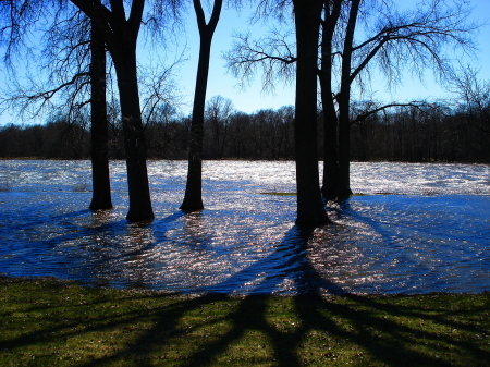 A few shots from last years flooding... 2008