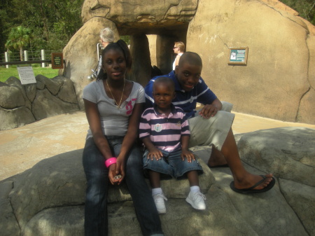 At the Zoo