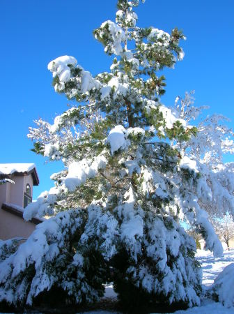 Winter 2008...Southern California...hhhmmmm