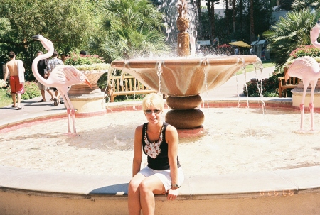 Fountain at Flamingo Hotel Vegas