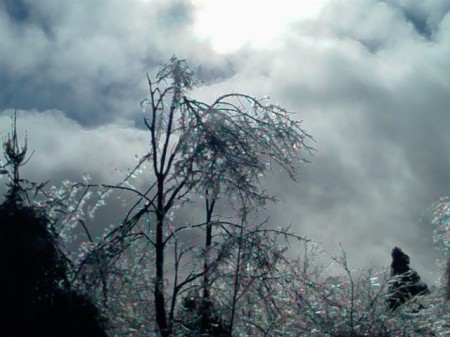 Ice storm 12-2008