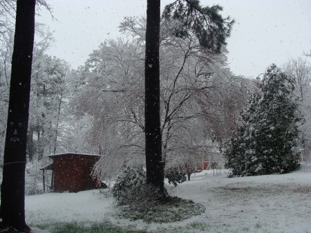 Snow in Atlanta March of 2009