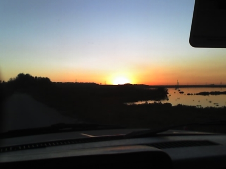 Bolsa Chica wetlands (goin' home)