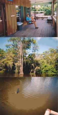 Black Guidry swamp tour guide