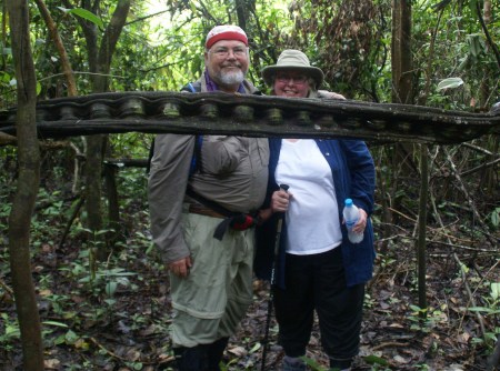 Monkeyladder vine Grape & Pat Amazon Peru 2010