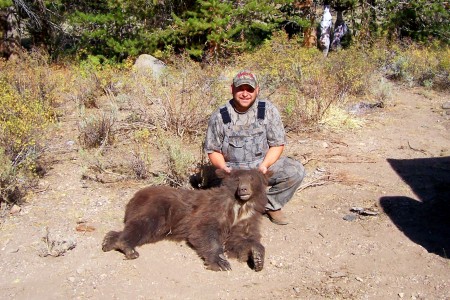 2007 black bear