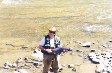 steelhead 2003