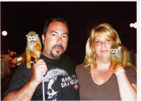 Monkeys in Mexico