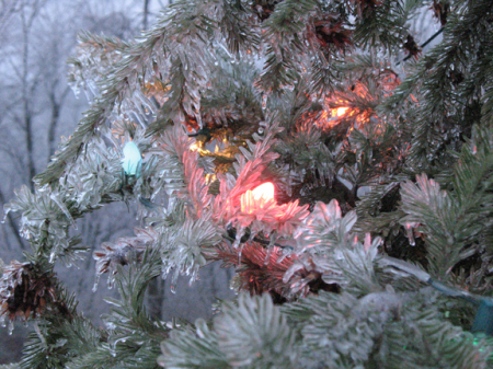 Tree lights 3