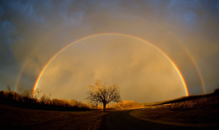 Lifes Rainbow