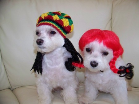 Rasta Pip and Sophia Bella