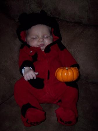 Keila the Lady Bug - Halloween "08"