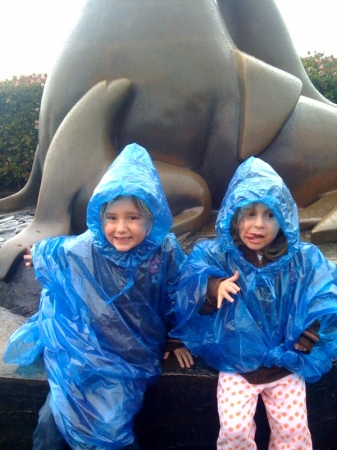 PIER 39 AND THE LIL' WET SEALS...