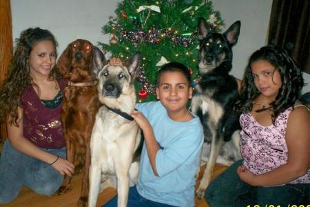 xmas kids and dogs