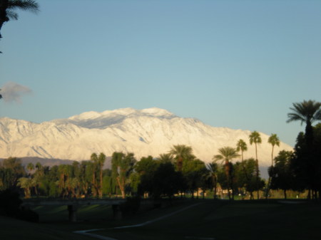 Snow in the Desert, 2008