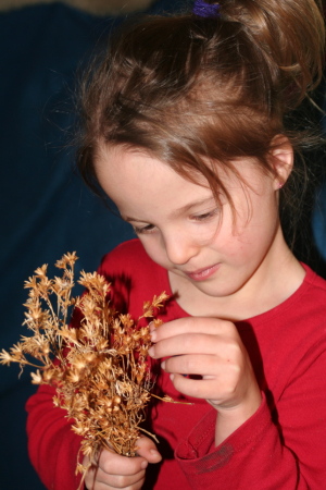 trying dried flowers