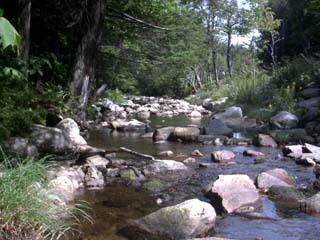 River in my VT backyard.