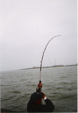 Drum Fishing in Texas