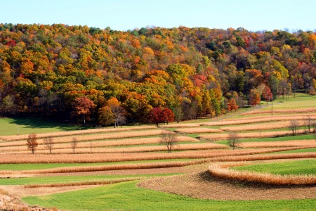Pennsylvania Amish Farm