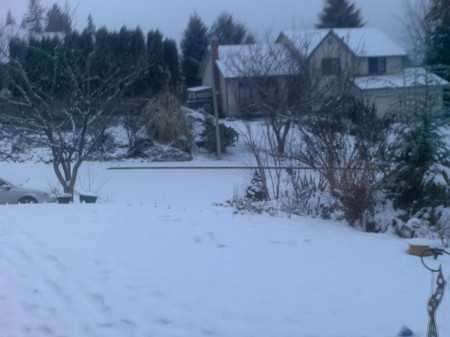 Bothell in Winter