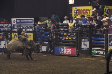 PBR 2008