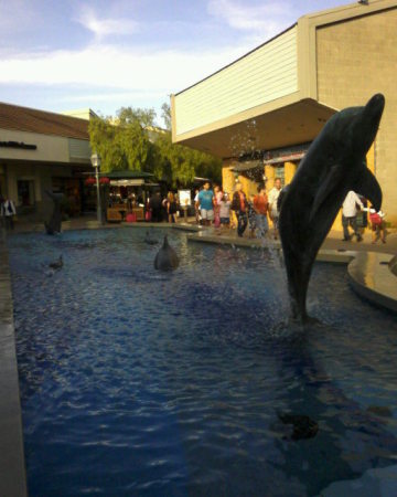 Mall - Dolphin